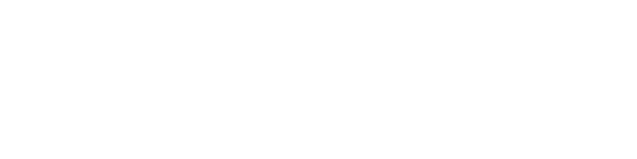 Panduinfo